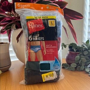 Hanes Men's Briefs 6-Pack Size L NWT